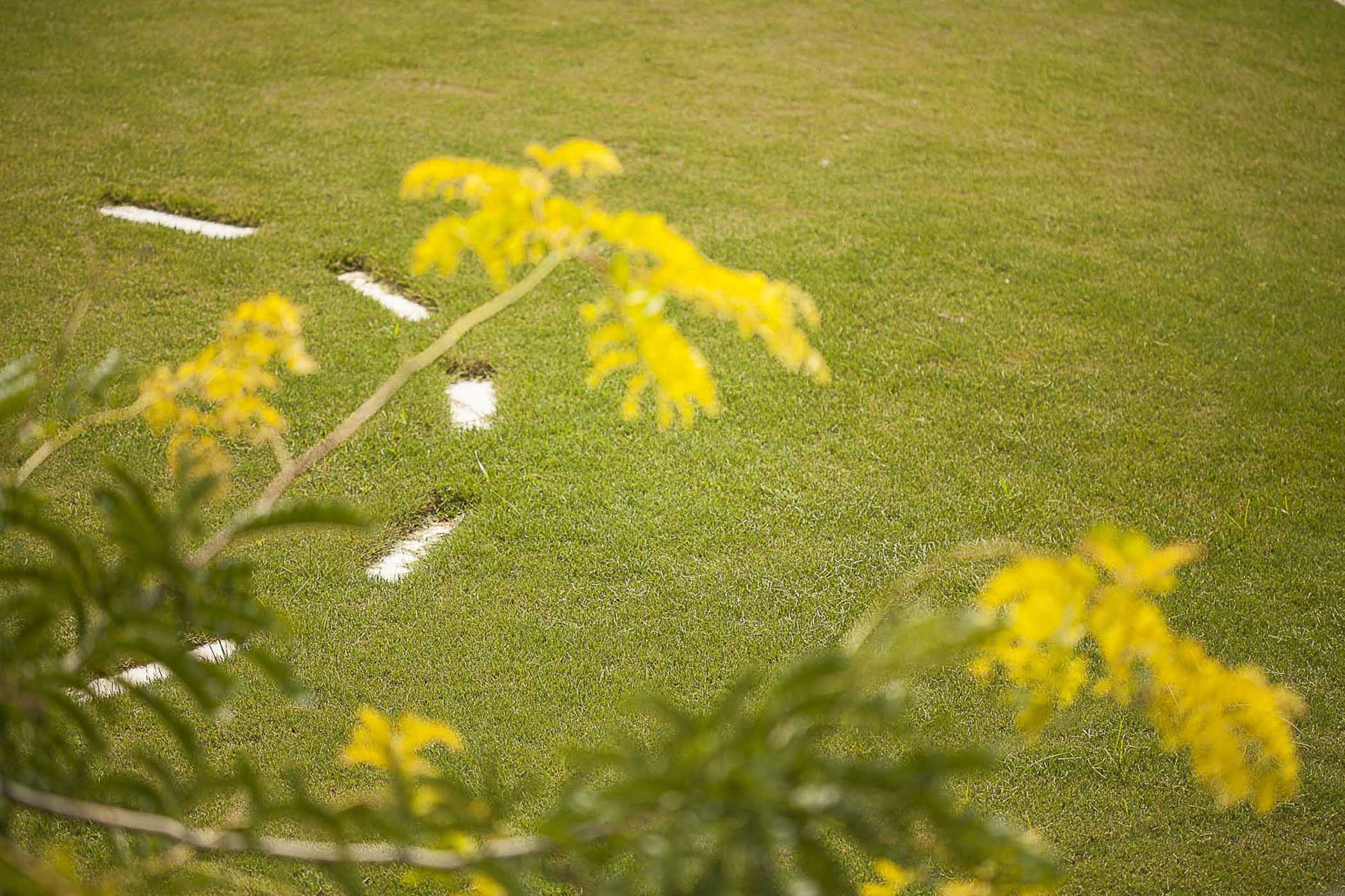 Ammouda Villas