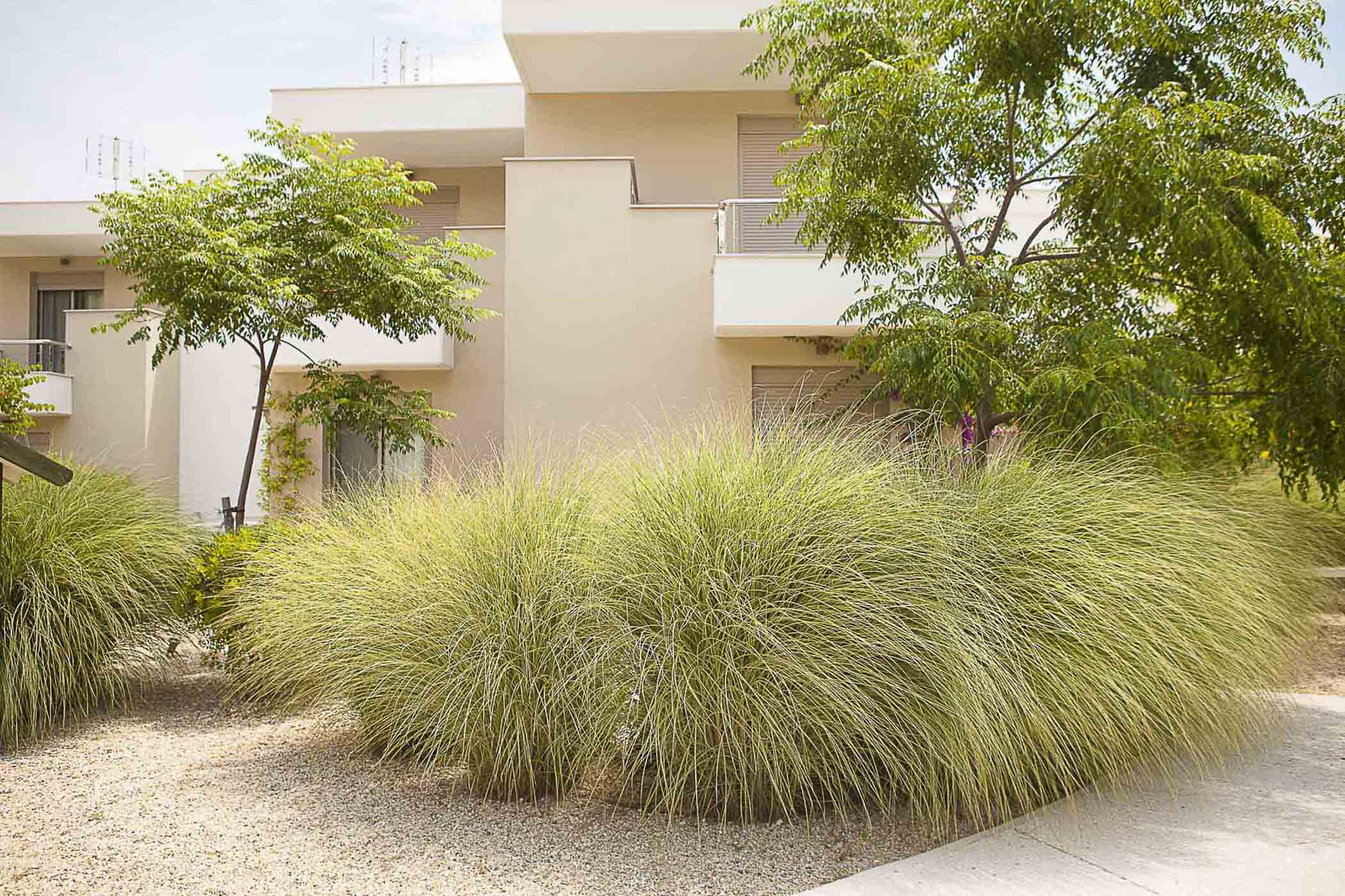 Ammouda Villas