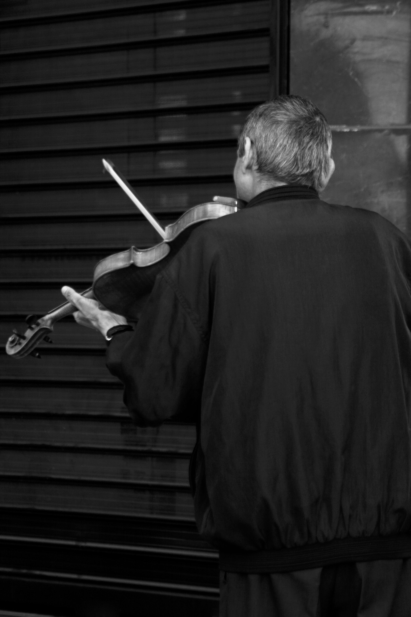 Chamber Musicians